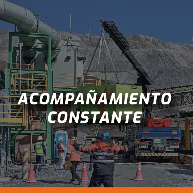 elegirnos_Mesa de trabajo 1-05